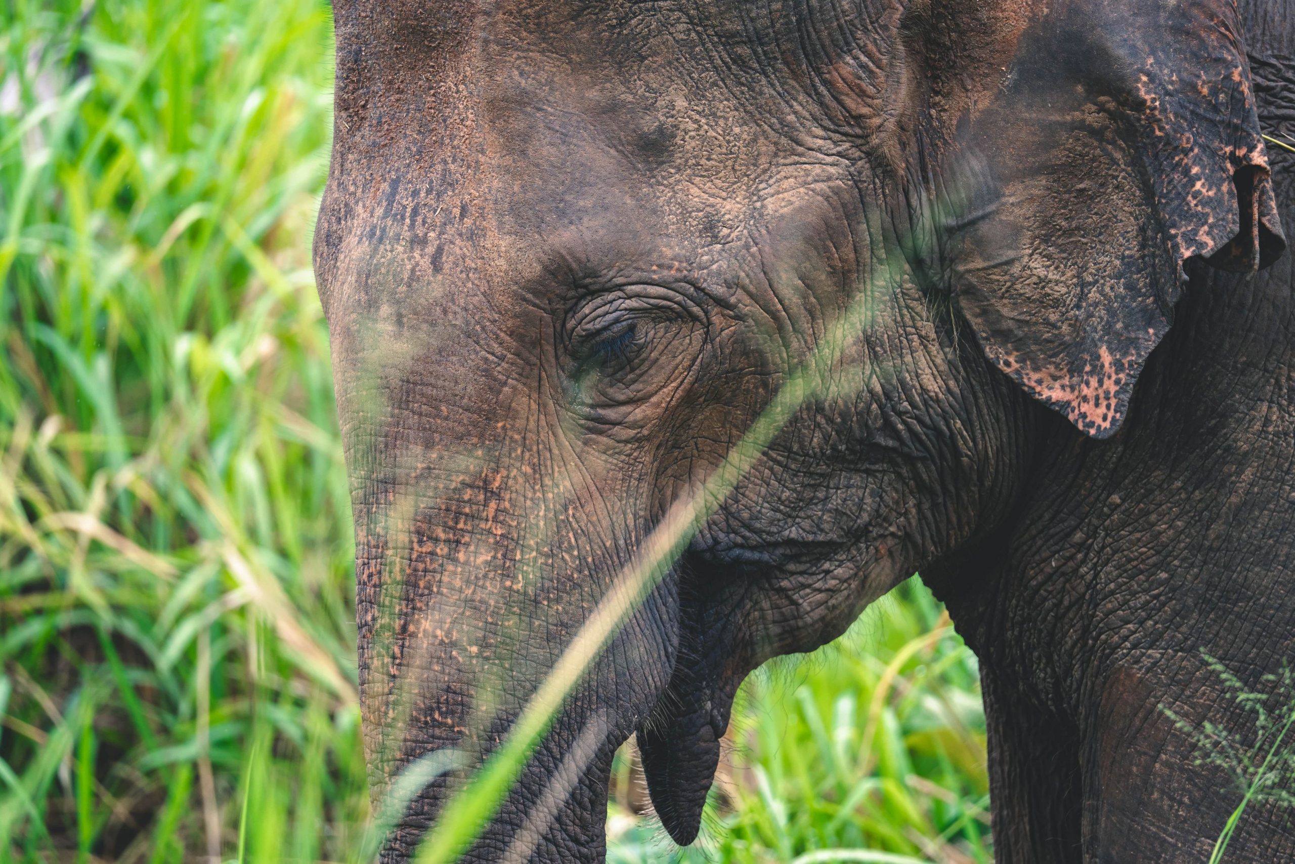 quels parcs nationaux choisir ?