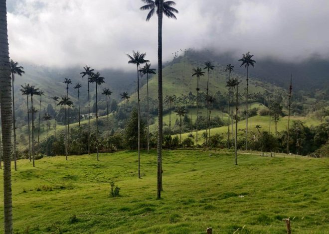 itinéraire de trois mois en slow travel