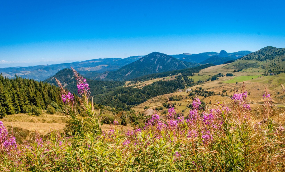 Où aller dans le Massif central en été ? TOP 10