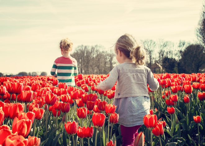 Vacances scolaires aux Pays-Bas 2025/2026