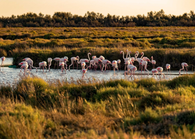 Où passer des vacances originales en famille en France ?