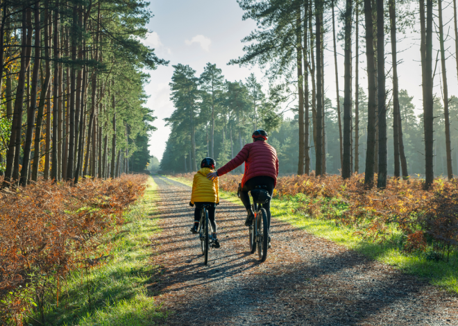 que prêter en plus du logement ?